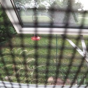 Meet your Posher, Lee